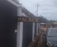 THE PALACE - Image 5