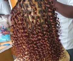 Hair Stylist - Image 4