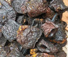 Sea food - Image 3
