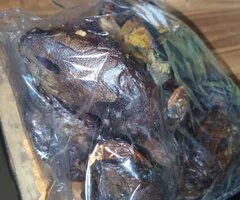 Sea food - Image 5