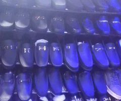 New World Collections