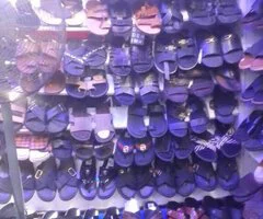 New World Collections - Image 8