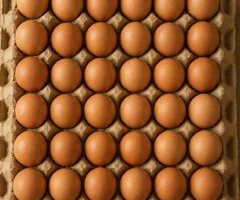 Egg supplier - Image 2