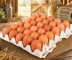 Egg supplier - Image 3