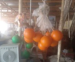Zubeco entreprises - Image 3