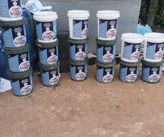 Olics chemical and paint - Image 3