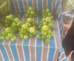 Precious Freshfruits