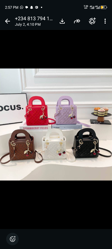 Fashionista Fashion House - 5