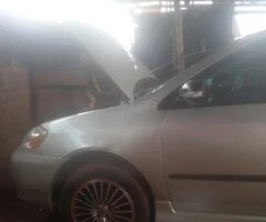 Chi best auto