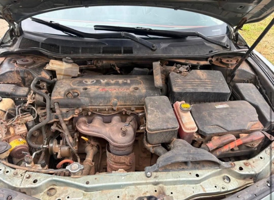 Camry muscle - 6
