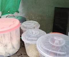 Rice and beans and delicious food