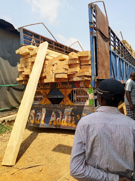 Timber/Furniture Supplies - 1