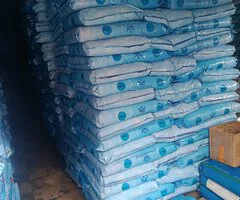 BUKAS FARMS AND LIVESTOCK SERVICES - Image 2