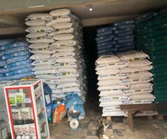 BUKAS FARMS AND LIVESTOCK SERVICES - Image 5