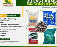 BUKAS FARMS AND LIVESTOCK SERVICES - Image 6